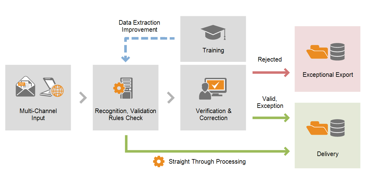 Invoice Verification Process: How to Check if an Invoice is Valid?